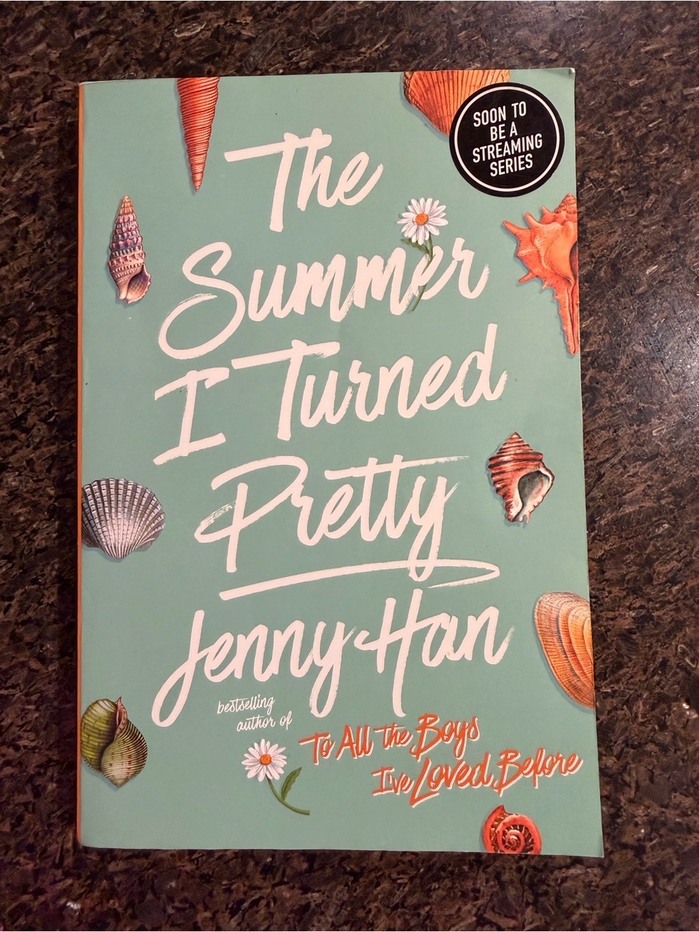 The Summer I Turned Pretty Jenny Han Paperback Novel